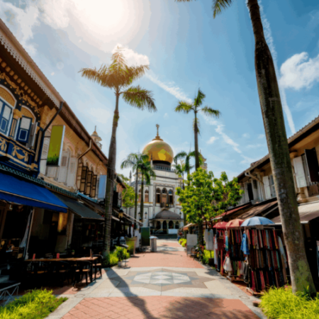 Local Culture History Tour